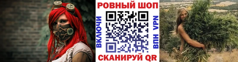 МЕТАДОН Шенкурск