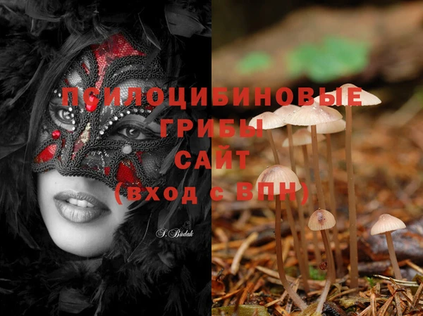 MDMA Premium VHQ Беломорск