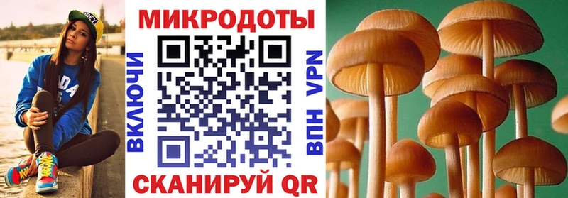Псилоцибиновые грибы GOLDEN TEACHER  Шенкурск 