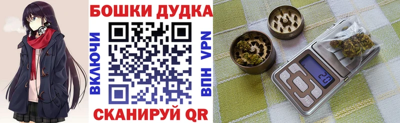Каннабис сатива  купить наркотик  Шенкурск 
